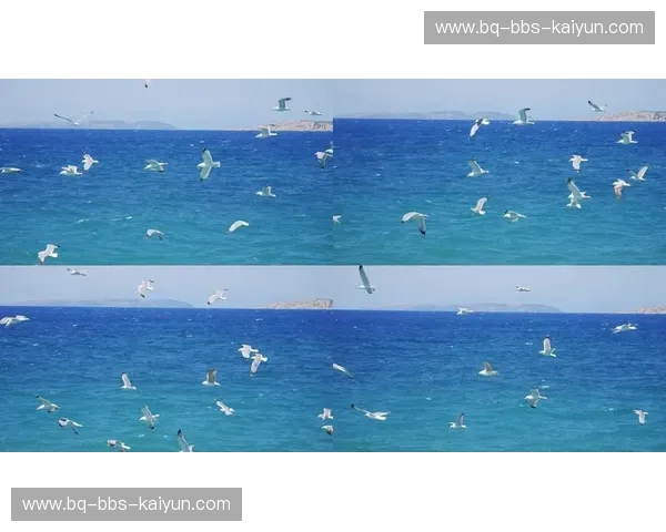 希腊超会员:把爱琴海的奢华和生活方式装进口袋 希腊超会员:把爱琴海的奢华和生活方式装进口袋